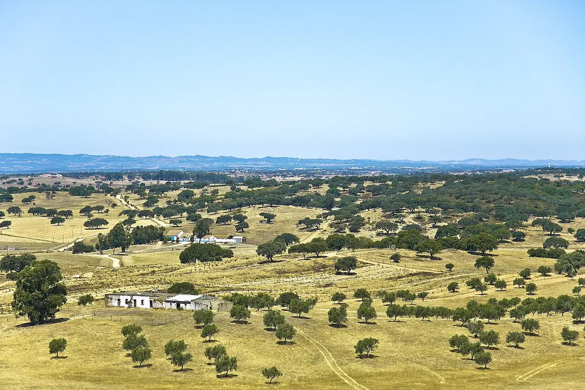Vista de Almodôvar