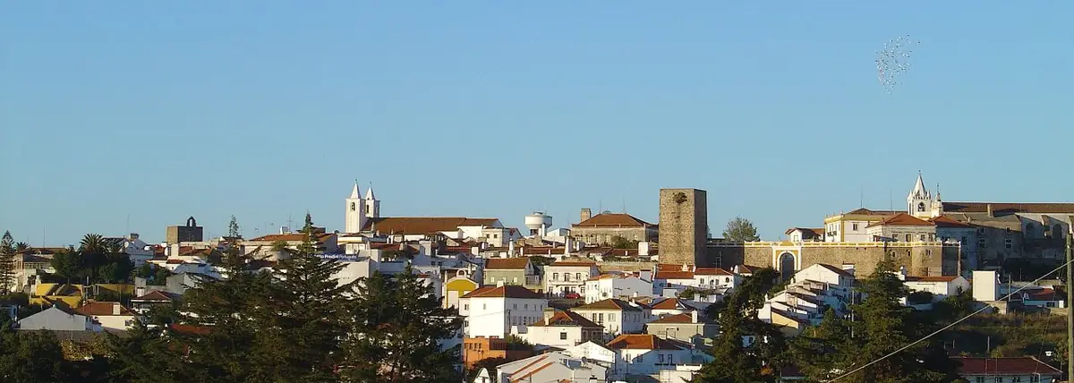 Vista de Avis