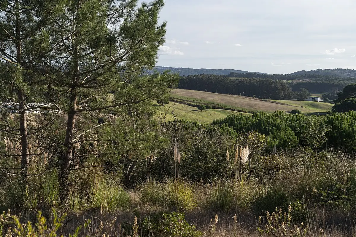 Vista de Caldas da Rainha