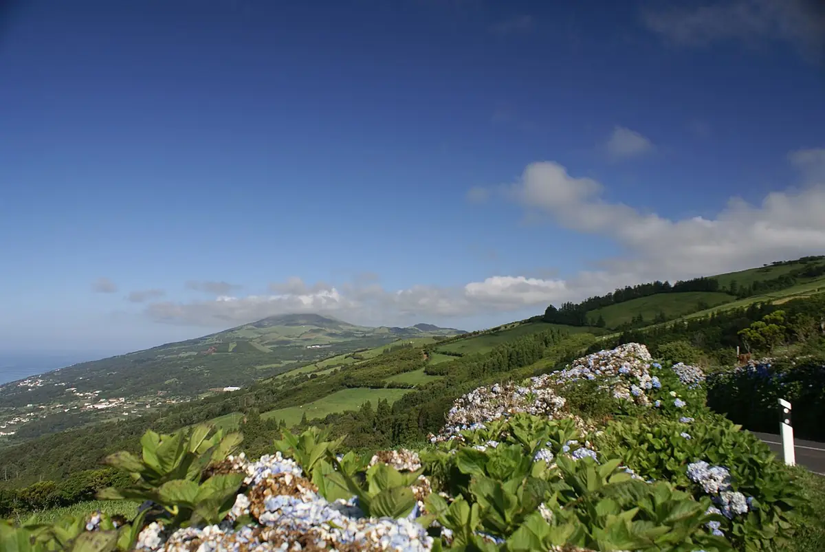 Vista de Calheta de São Jorge