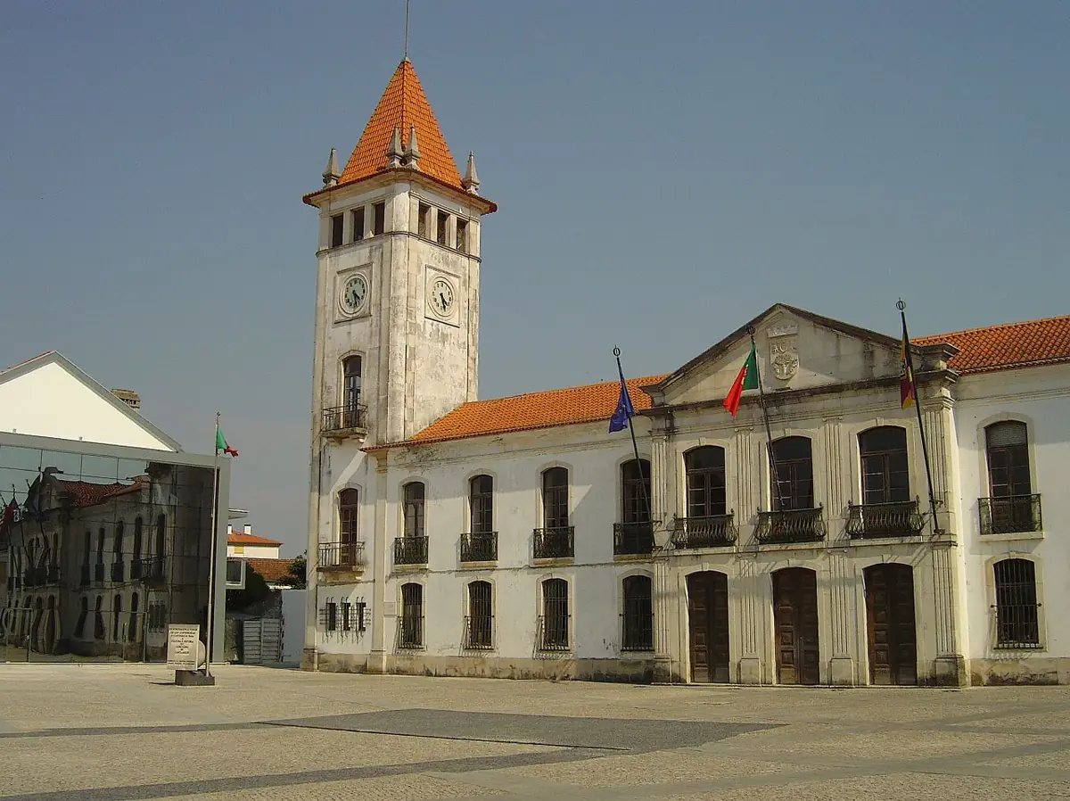 Vista de Cantanhede