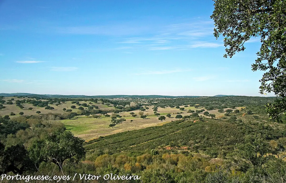 Vista de Cuba