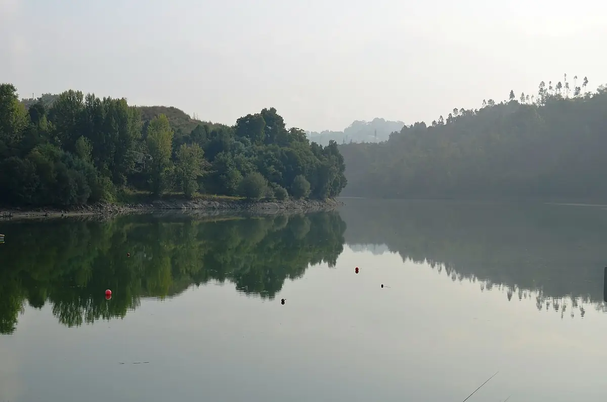 Vista de Marco de Canaveses