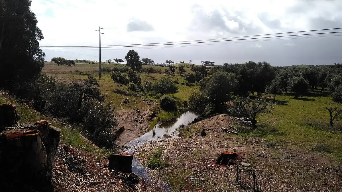 Vista de Ourique