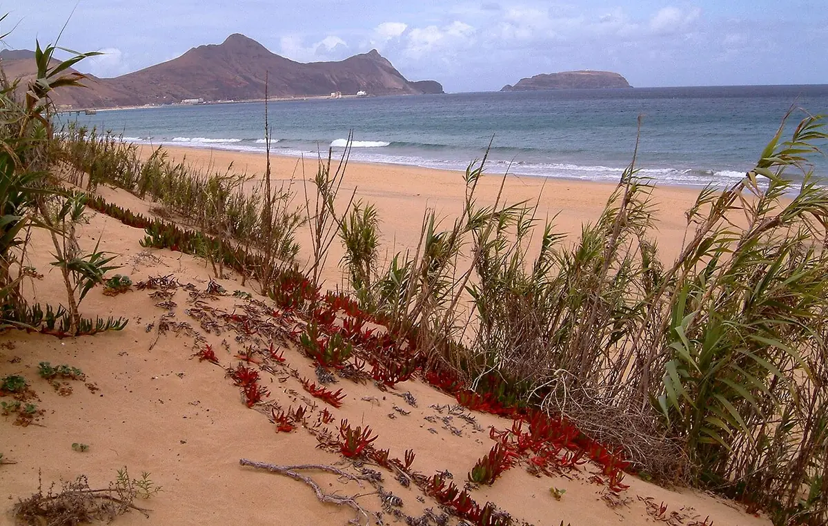 Vista de Porto Santo
