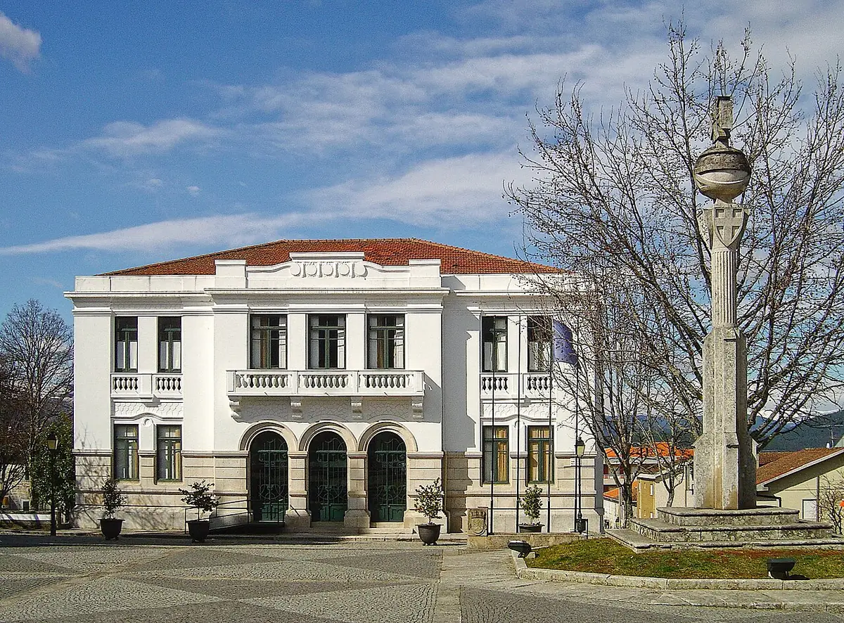 Vista de Ribeira de Pena