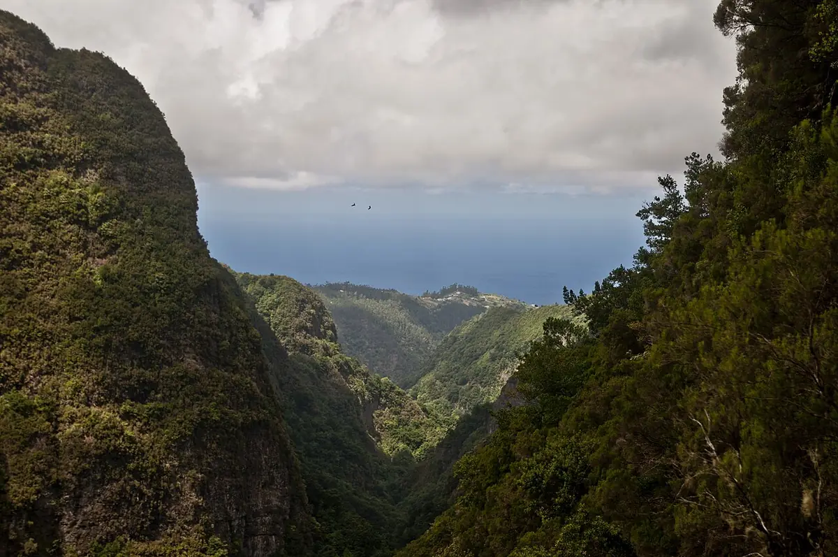 Vista de Santana